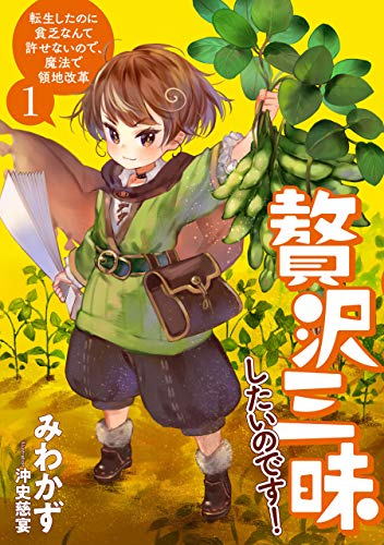 贅沢三昧したいのです！転生したのに貧乏なんて許せないので、魔法で領地改革